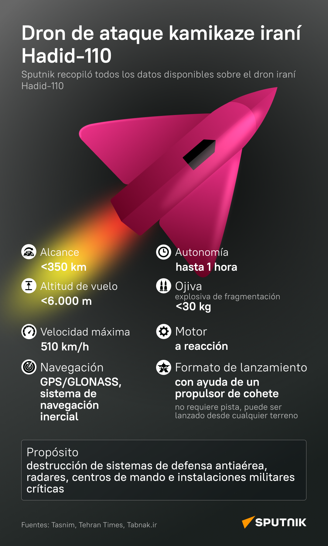 Hadid-110, el innovador dron kamikaze de ataque a la defensa de Irán, al detalle - Sputnik Mundo