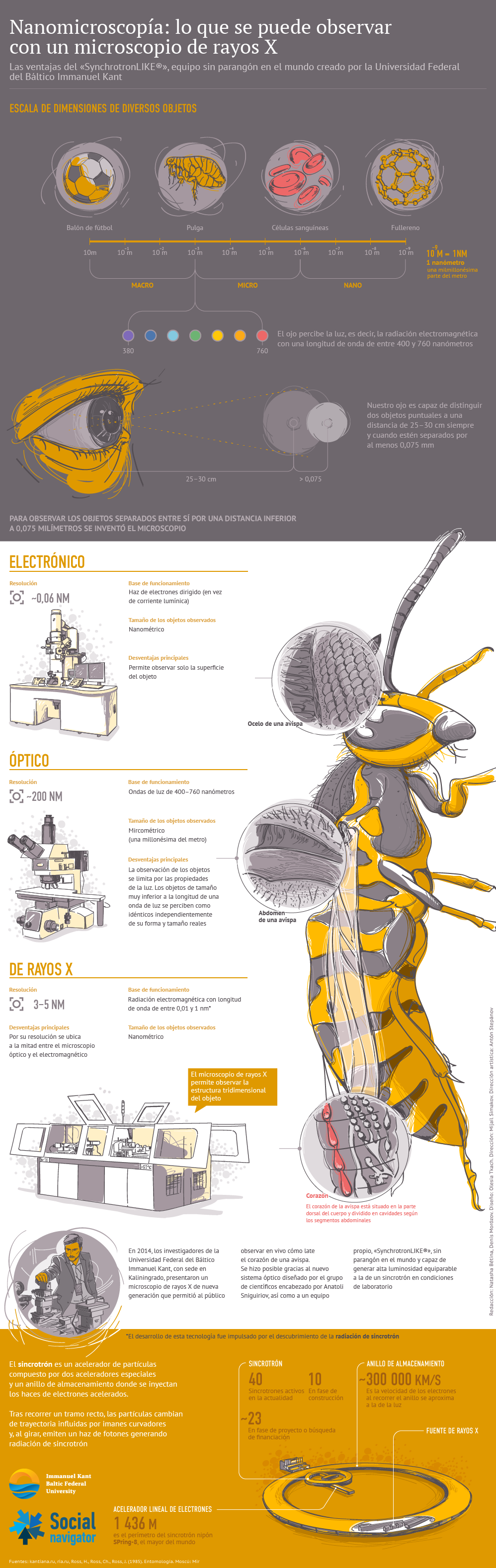Nanomicroscopía: lo que se puede observar con un microscopio de rayos X - Sputnik Mundo
