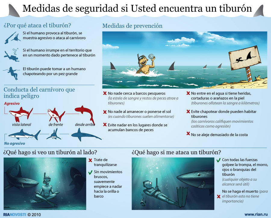 Medidas de seguridad si Usted encuentra un tiburón - Sputnik Mundo