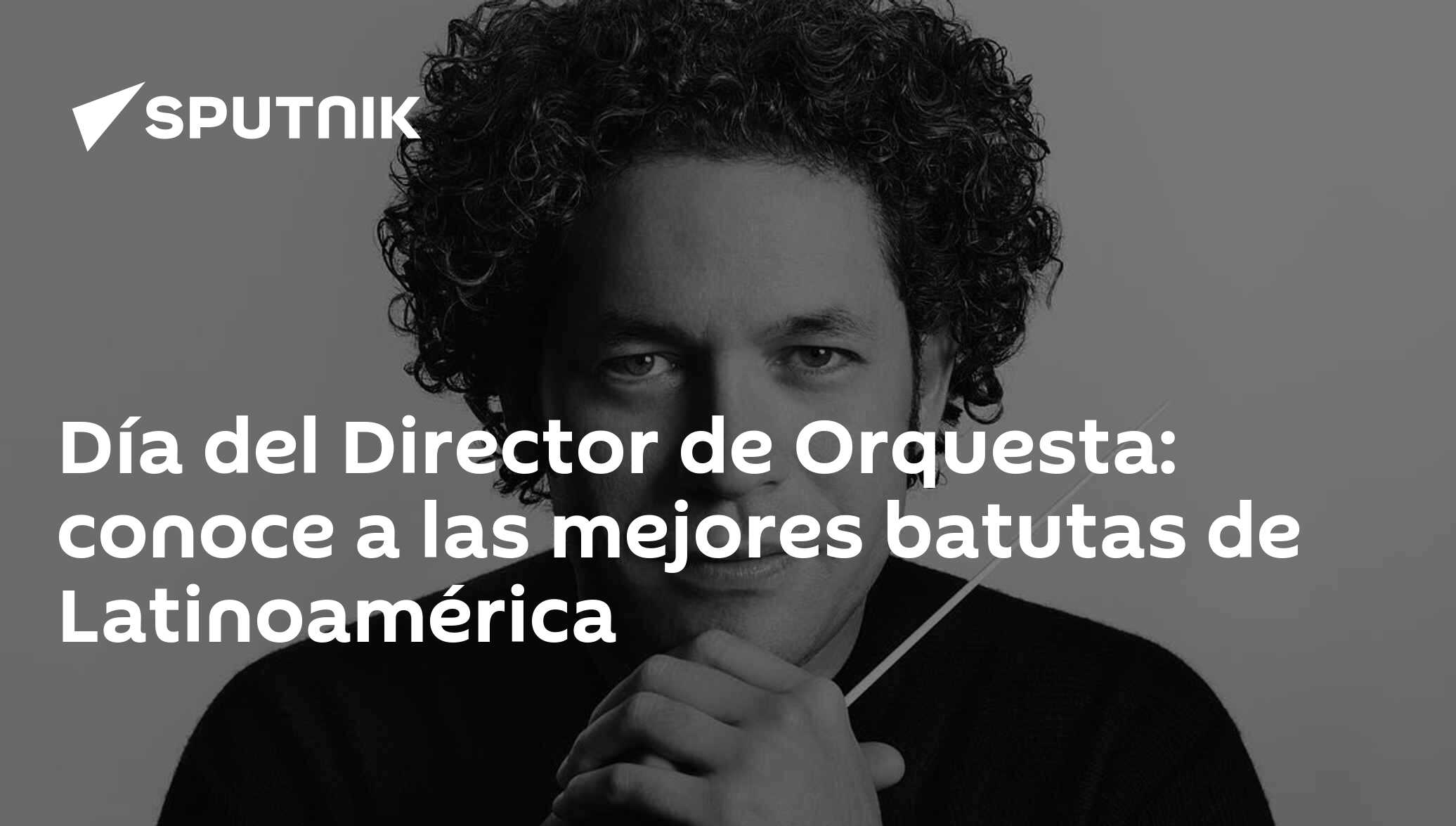 39 Cm Para Batuta De Música Batuta De Director Madera Director De FRP Lider De Sinfonia Anggrek Otros
