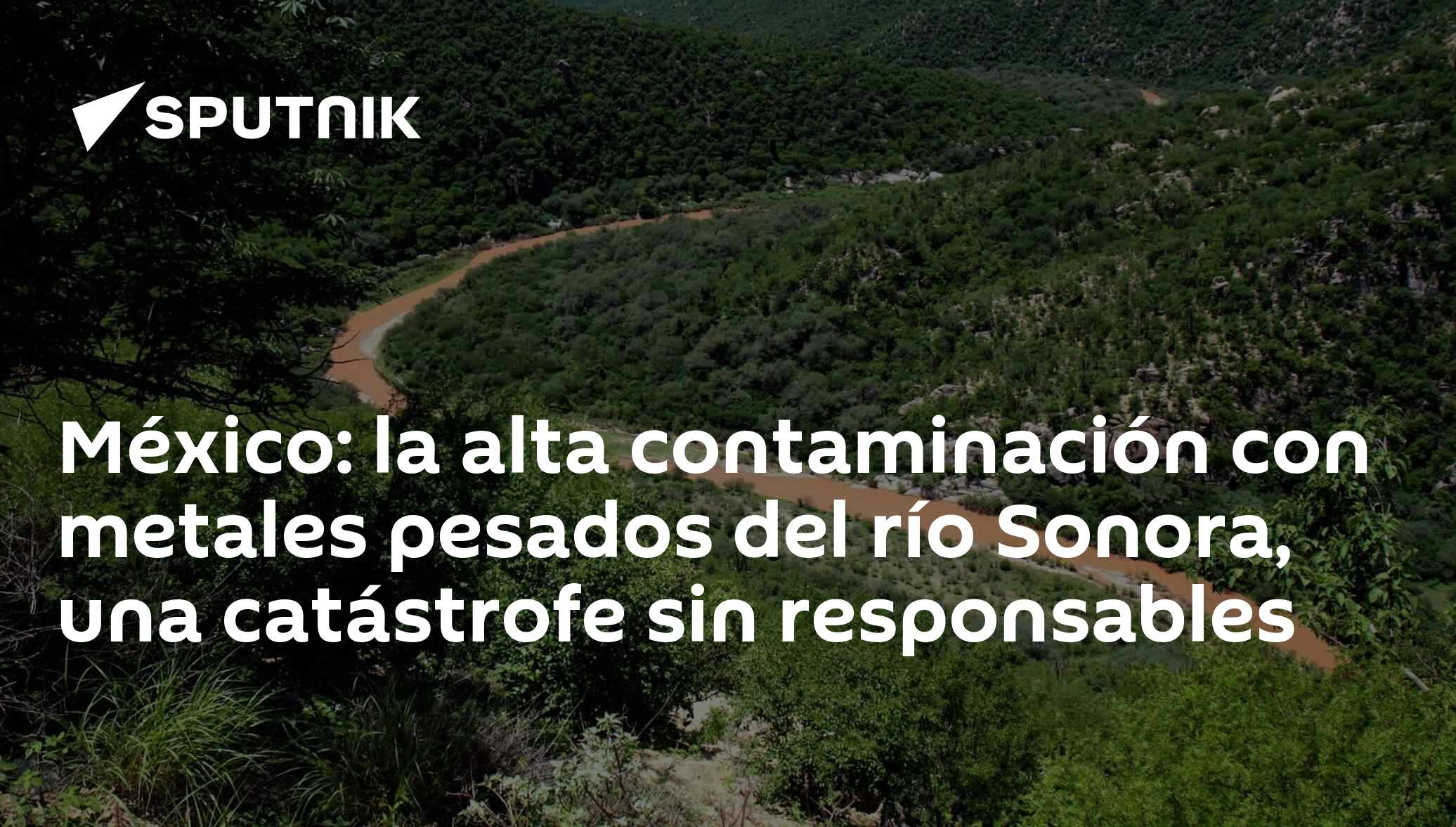 Contaminacion Del Suelo Por Metales Pesados En Mexico
