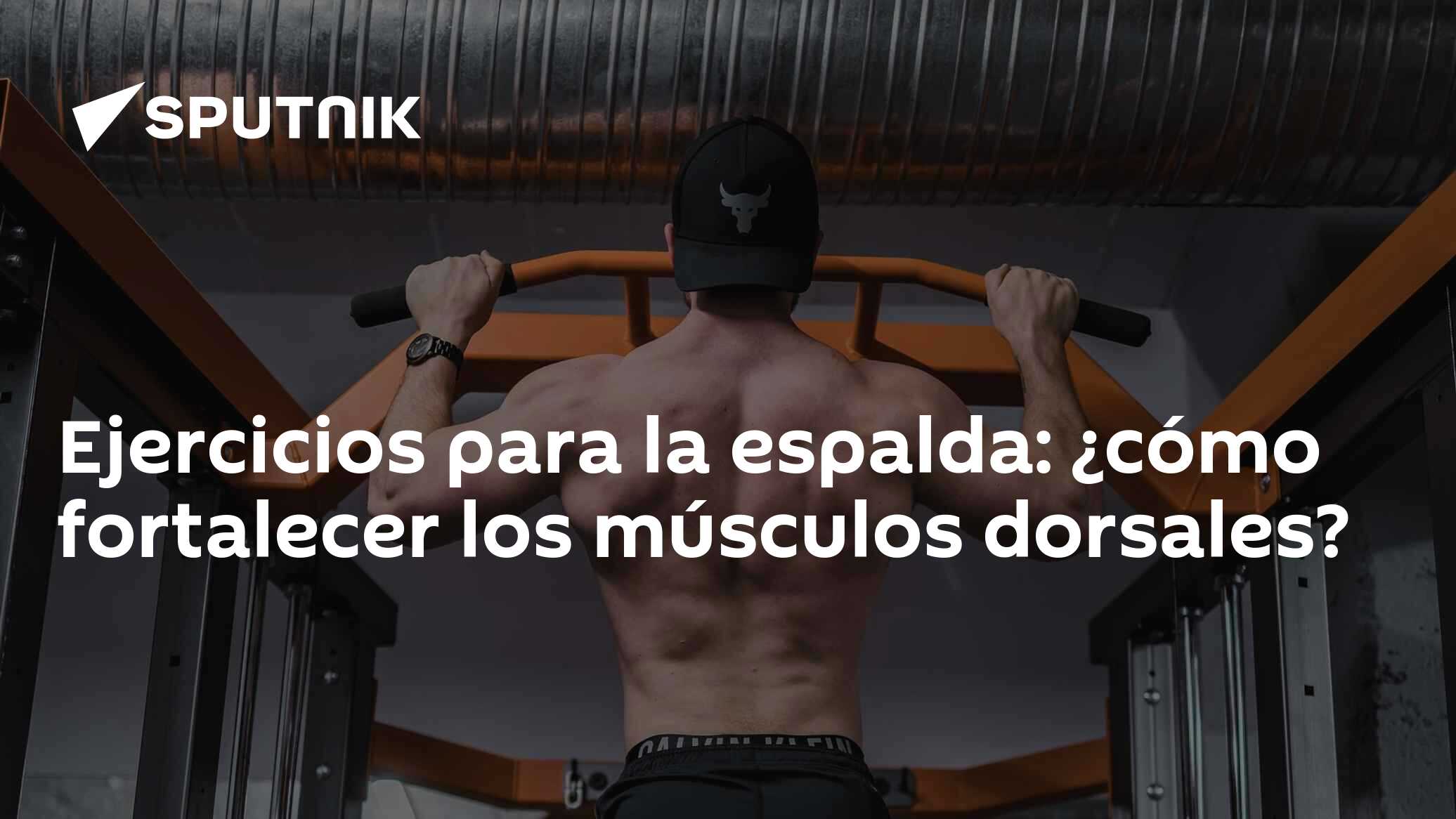 Los mejores ejercicios para los músculos de la espalda en el gimnasio y ...