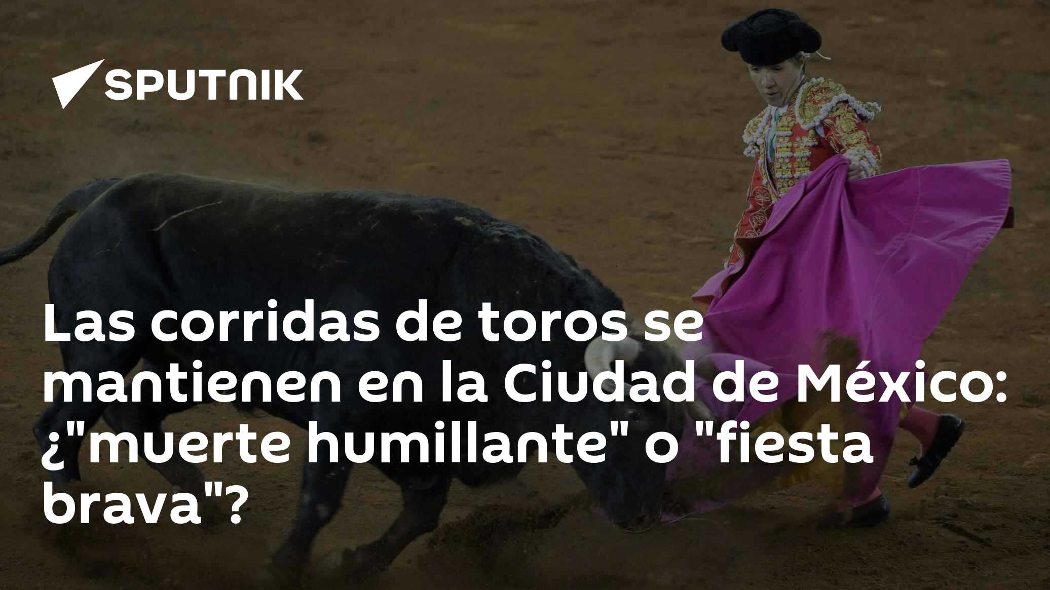 Las corridas de toros se mantienen en la Ciudad de México: ¿"muerte ...