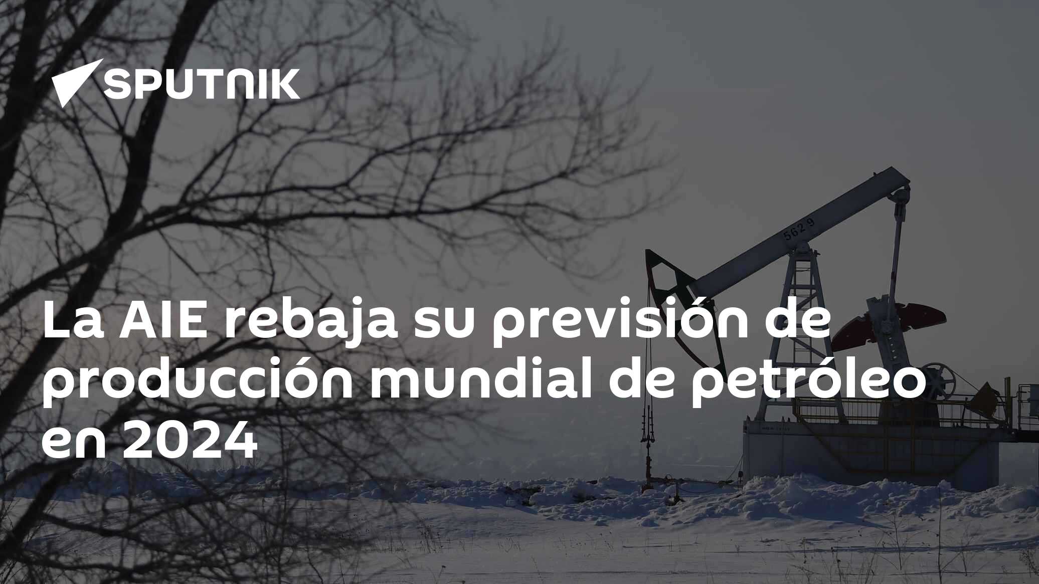 La AIE rebaja su previsión de producción mundial de petróleo en 2024 ...