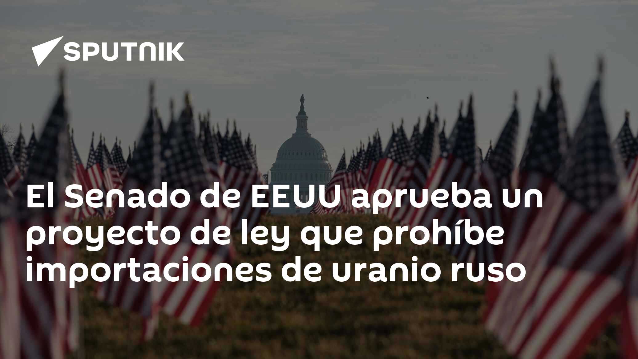 El Senado de EEUU aprueba un proyecto de ley que prohíbe importaciones ...