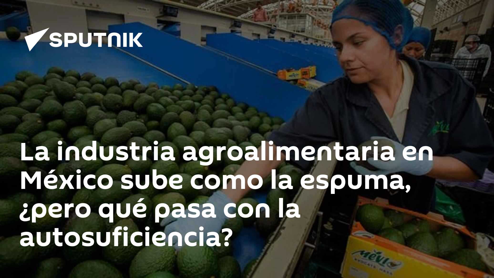 La industria agroalimentaria en México sube como la espuma, ¿pero qué ...