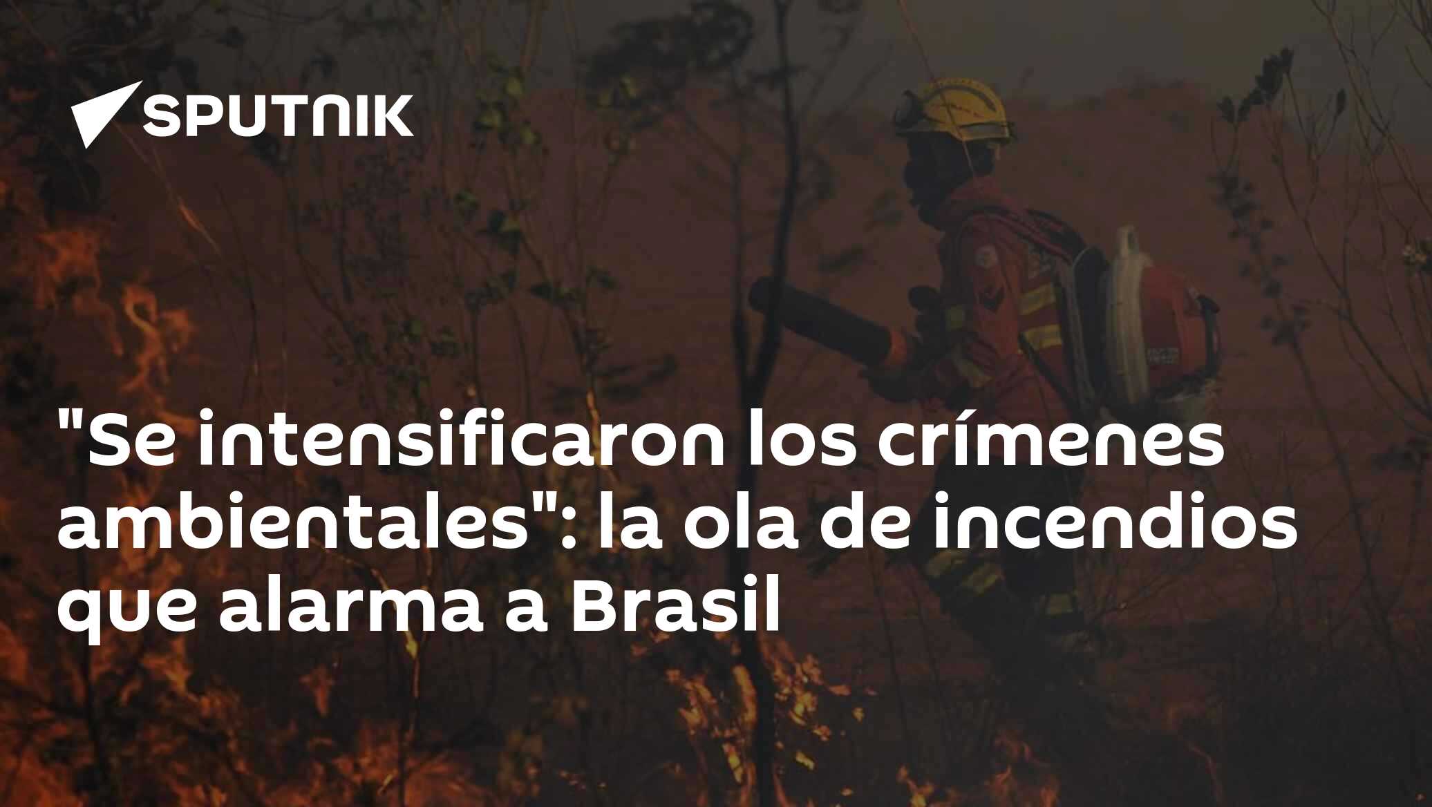 "Se intensificaron los crímenes ambientales": la ola de incendios que ...