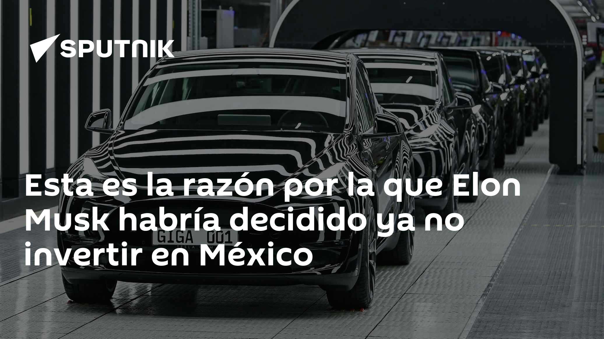 Esta es la razón por la que Elon Musk habría decidido ya no invertir en ...
