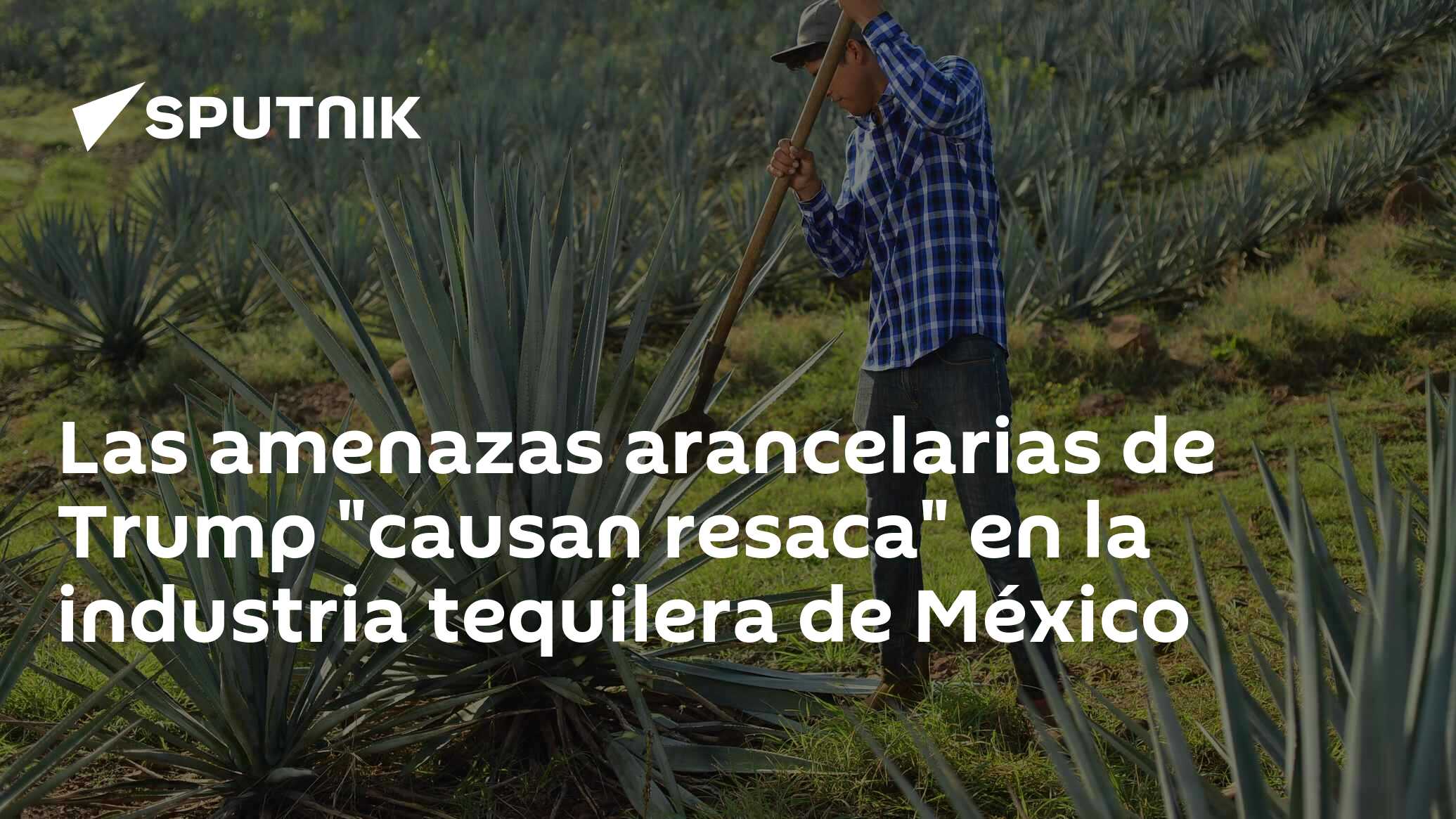 Imagen del artículo: Las amenazas arancelarias de Trump 'causan resaca' en la industria tequilera de México
