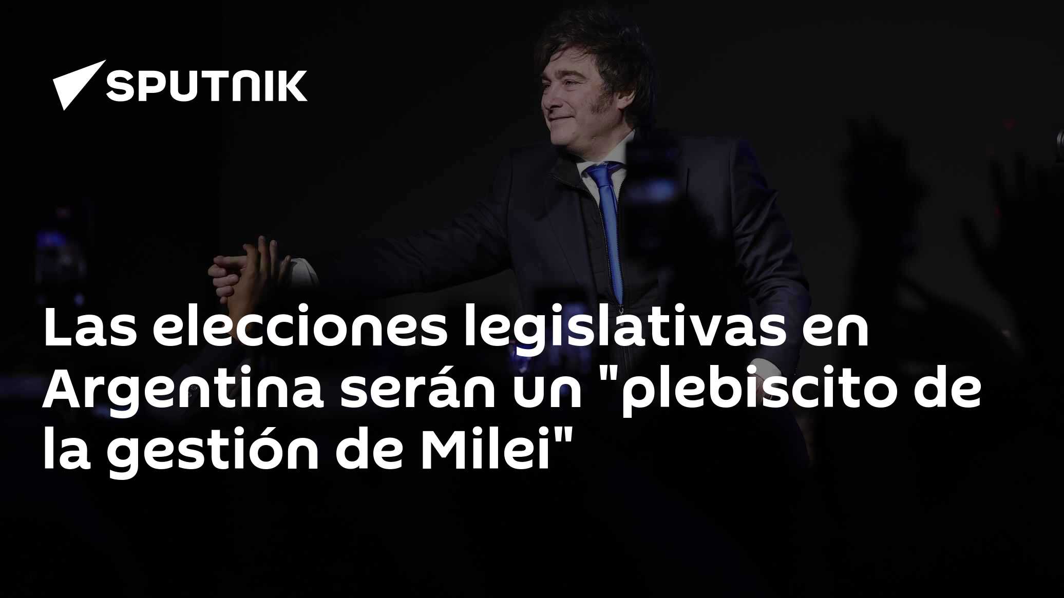 Las elecciones legislativas en Argentina serán un "plebiscito de la ...