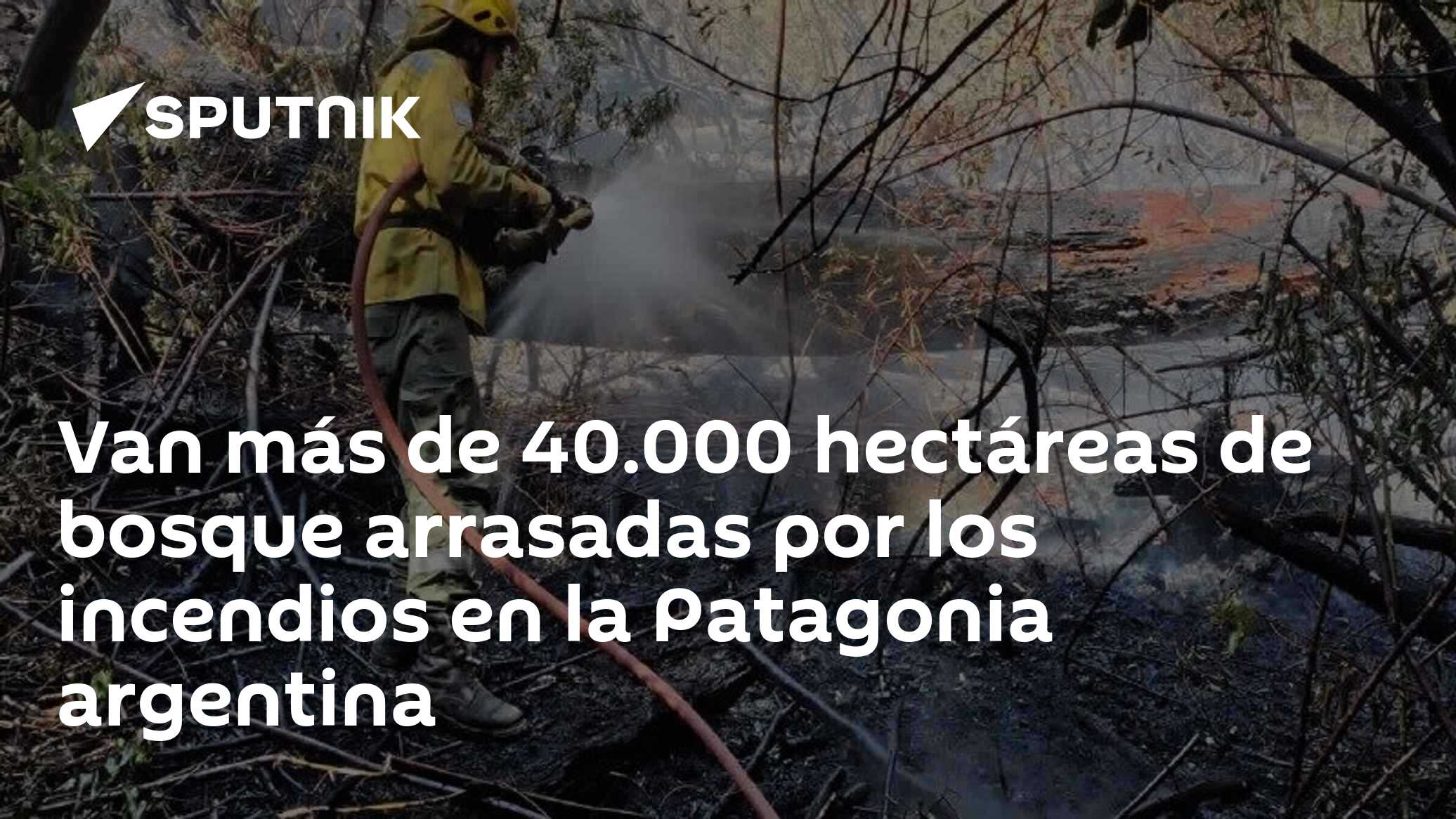 Van más de 40.000 hectáreas de bosque arrasadas por los incendios en la ...