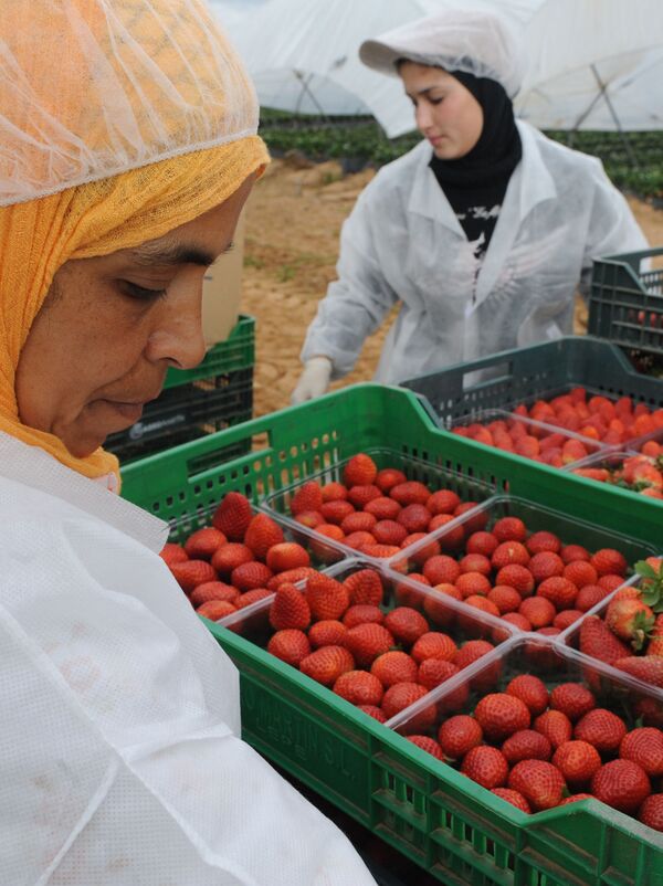 ¿Cárcel de oro? Más de 7.000 marroquíes continúan atrapadas en España  - Sputnik Mundo