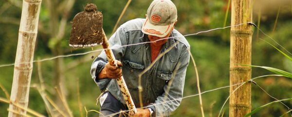 Campesino (imagen referencial) - Sputnik Mundo