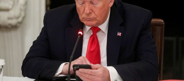 Donald Trump, presidente de Estados Unidos, utiliza su móvil - Sputnik Mundo