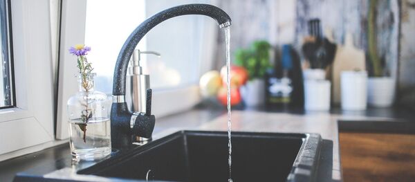 Un grifo (imagen referencial) Un grifo (imagen referencial) - Sputnik Mundo