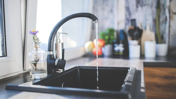 Un grifo (imagen referencial) - Sputnik Mundo