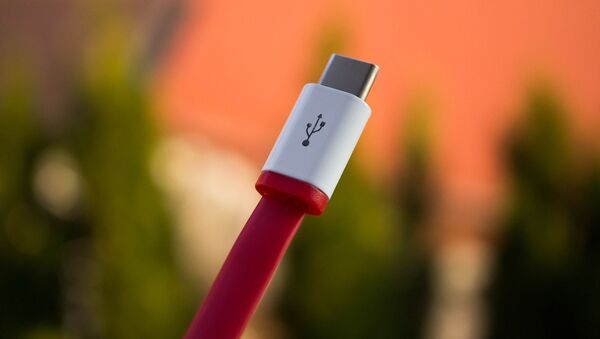 Un cable USB, referencial - Sputnik Mundo