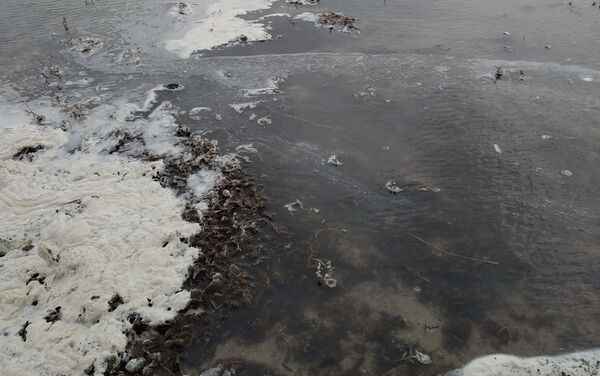 Espuma cerca del emisario de EDAR en la playa de San Gabriel (Alicante) - Sputnik Mundo