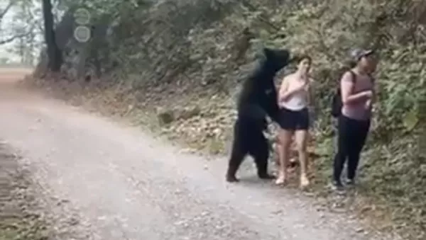 Un oso se pone de pie para hacerse una selfi con una muchacha - Sputnik Mundo