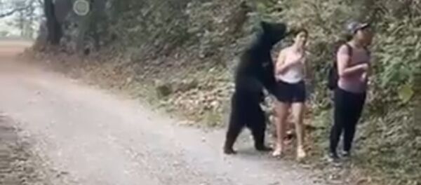 Un oso se pone de pie para hacerse una selfi con una muchacha - Sputnik Mundo