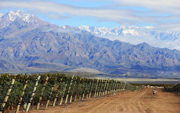 Finca Piedra Infinita, Mendoza - Sputnik Mundo