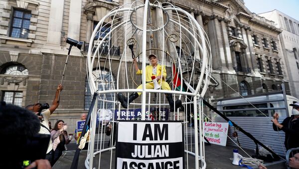 La diseñadora británica Vivienne Westwood en una jaula, en protesta por el encarcelamiento de Julian Assange - Sputnik Mundo