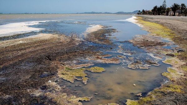 Una imagen del Mar Menor en mayo de 2020 - Sputnik Mundo