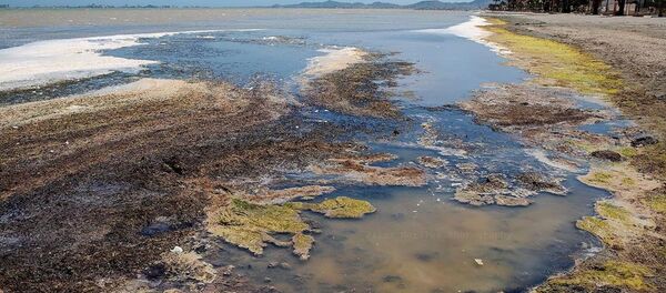 Una imagen del Mar Menor en mayo de 2020 - Sputnik Mundo