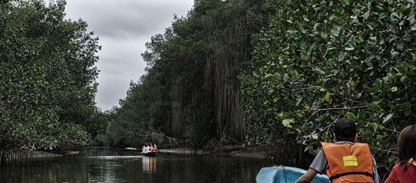 Manglares de Tumbes, Perú. - Sputnik Mundo