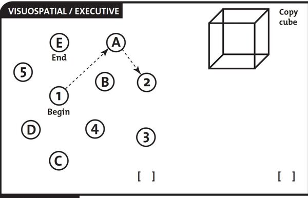 Este es el test que Trump alardea haber superado: ¿podrías pasar la prueba? - Sputnik Mundo