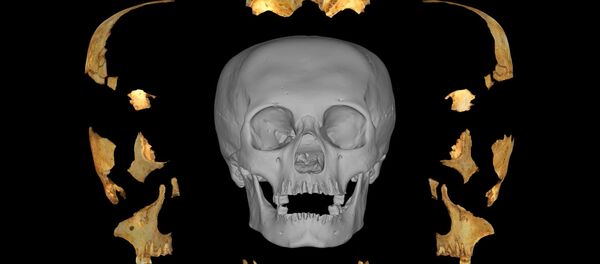 Modelo 3D del cráneo artificialmente deformado descubierto por Miguel Rodríguez Ferrer en Maisí (Cuba) - Sputnik Mundo
