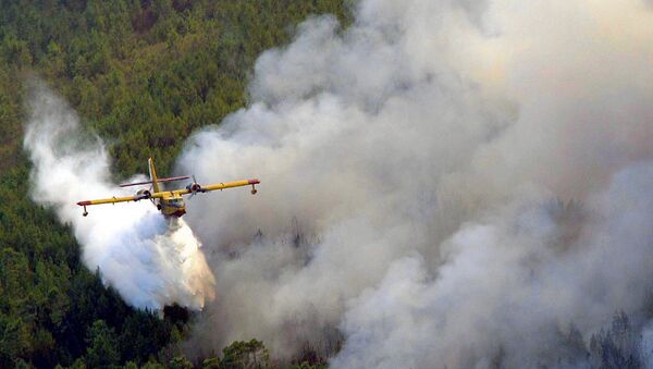 Hidroavión durante las tareas de extinción en Oleiros (Portugal) - Sputnik Mundo