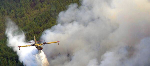 Hidroavión durante las tareas de extinción en Oleiros (Portugal) - Sputnik Mundo