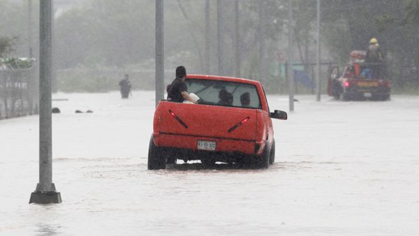 Consecuencias del ciclón Hanna en México Consecuencias del ciclón Hanna en México - Sputnik Mundo