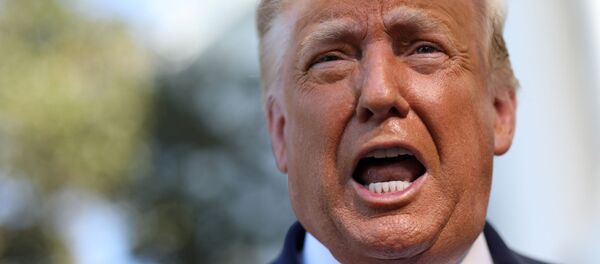 Donald Trump, presidente de EEUU Donald Trump, presidente de EEUU - Sputnik Mundo