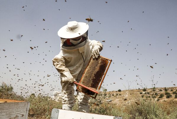 Las imágenes más llamativas que nos deja la semana - Sputnik Mundo