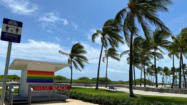 Palemeras bajo un viento fuerte en una playa de Miami