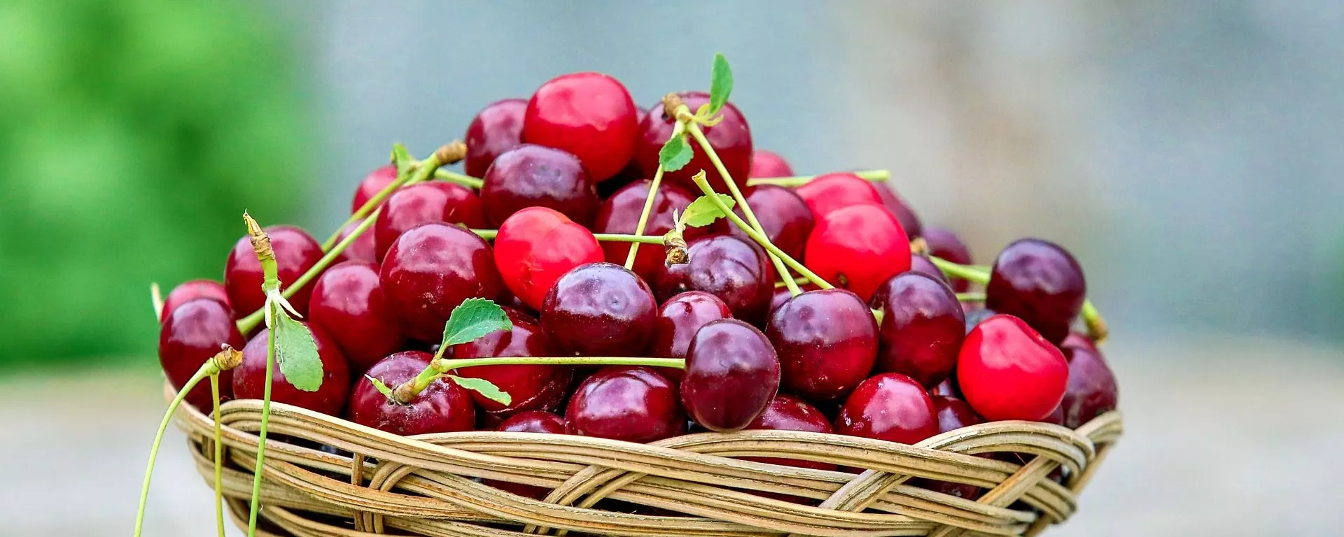 Una cesta con cerezas Una cesta con cerezas - Sputnik Mundo, 1920, 11.11.2021
