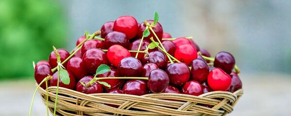 Una cesta con cerezas Una cesta con cerezas - Sputnik Mundo