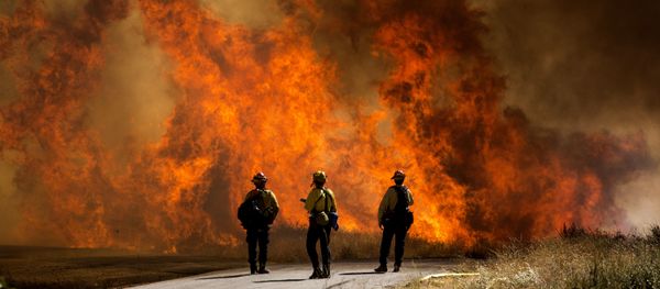 Miles de personas evacuadas: impactantes imágenes de incendios forestales en California - Sputnik Mundo
