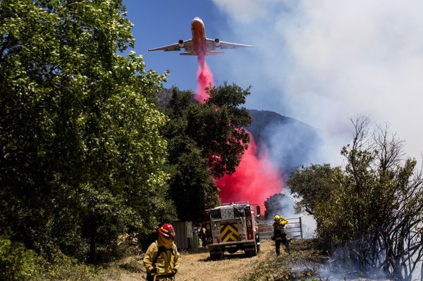 Miles de personas evacuadas: impactantes imágenes de incendios forestales en California - Sputnik Mundo