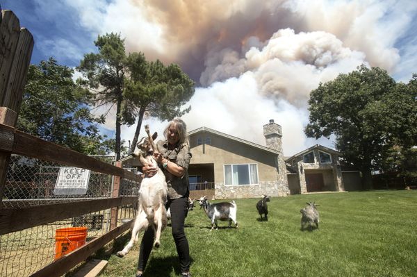 Miles de personas evacuadas: impactantes imágenes de incendios forestales en California - Sputnik Mundo