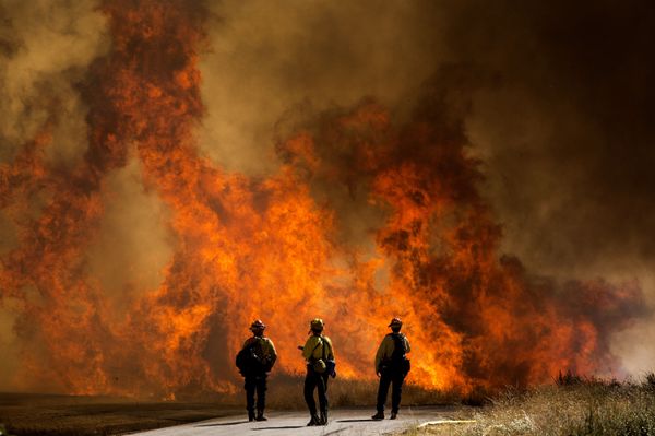 Miles de personas evacuadas: impactantes imágenes de incendios forestales en California - Sputnik Mundo