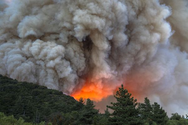 Miles de personas evacuadas: impactantes imágenes de incendios forestales en California - Sputnik Mundo