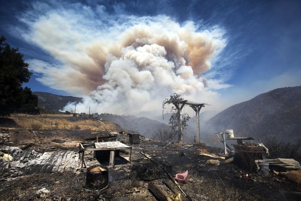 Miles de personas evacuadas: impactantes imágenes de incendios forestales en California - Sputnik Mundo