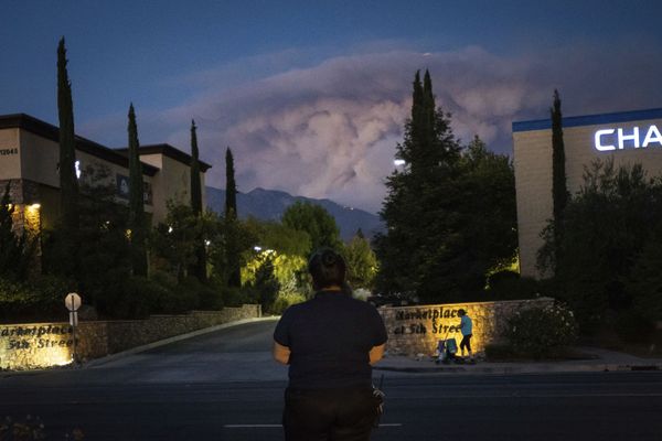Miles de personas evacuadas: impactantes imágenes de incendios forestales en California - Sputnik Mundo