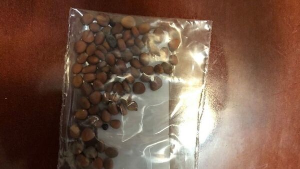 Unas semillas no solicitadas enviadas desde China a un ciudadano estadounidense - Sputnik Mundo