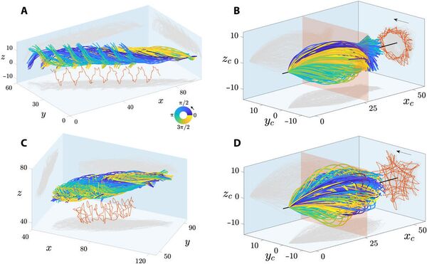Los espermatozoides no se mueven como todos imaginamos por 350 años | Vídeos - Sputnik Mundo
