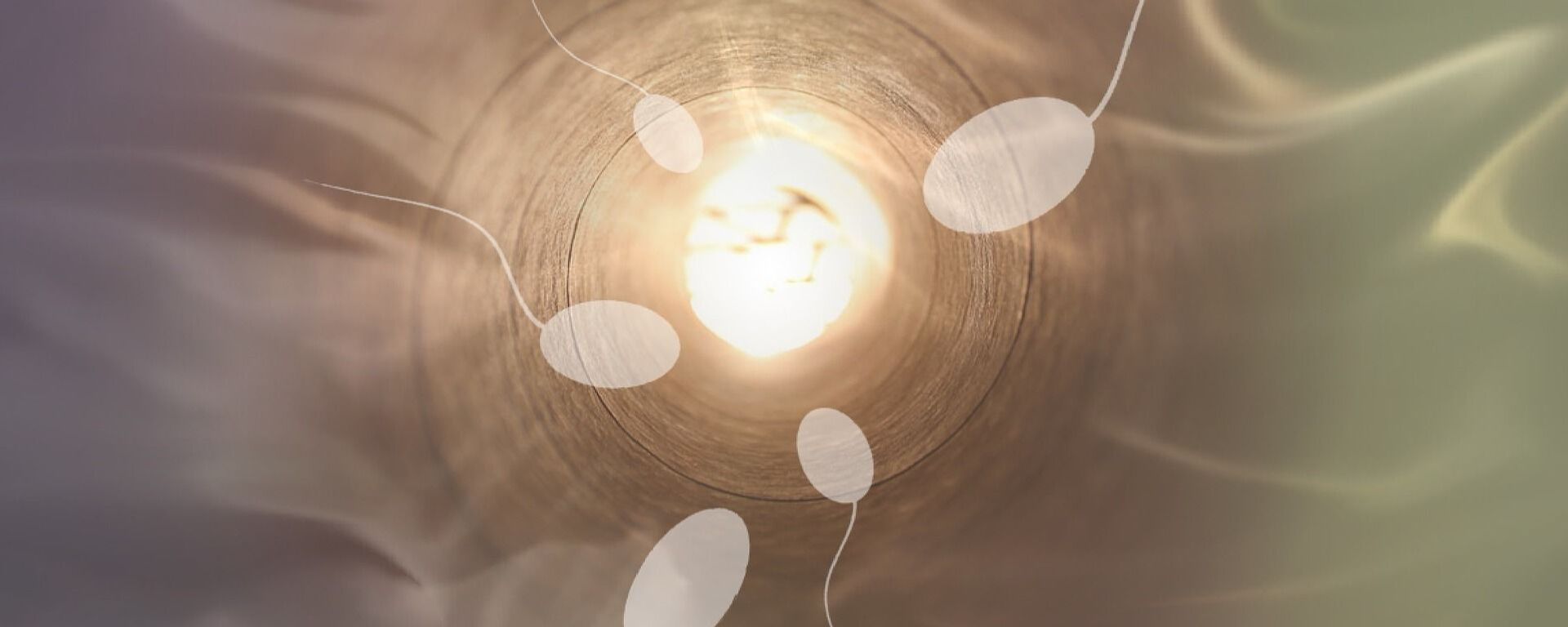 Espermatozoides Espermatozoides - Sputnik Mundo, 1920, 03.08.2020