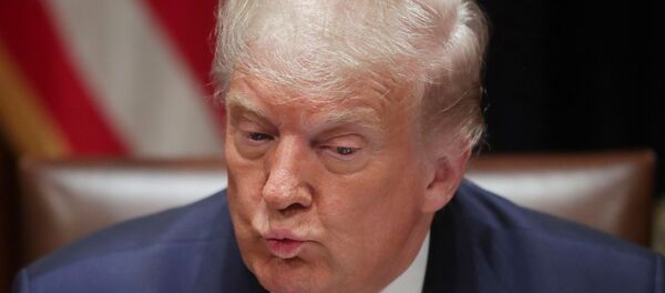 Donald Trump, presidente de EEUU Donald Trump, presidente de EEUU - Sputnik Mundo